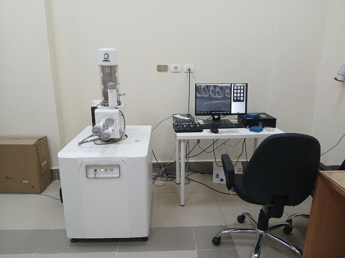 Scanning electron microscope